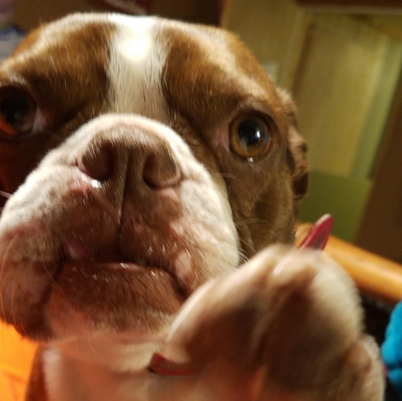 Meet your Posher, Diann - Picture 1 of 1